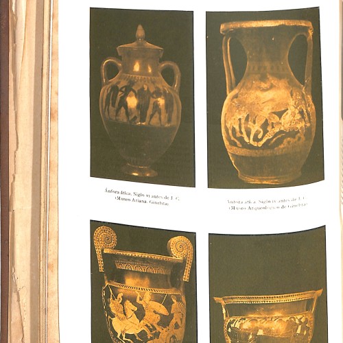 Libro:  Enciclopedia Universal Ilustrada Europeo-Americana 5 (AM-ARCH).